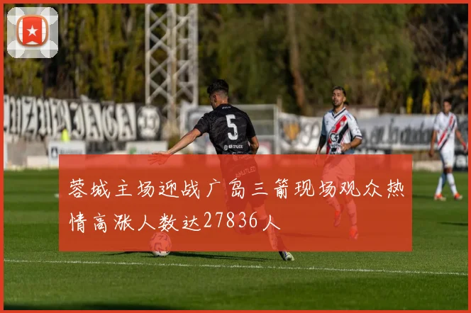 蓉城主场迎战广岛三箭现场观众热情高涨人数达27836人