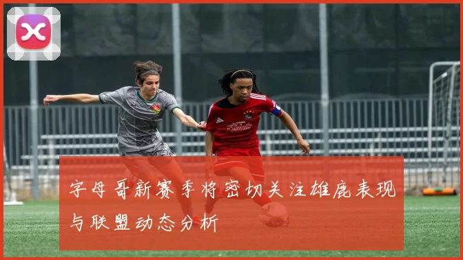 字母哥新赛季将密切关注雄鹿表现与联盟动态分析